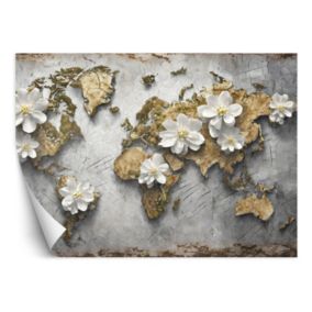 Fototapeta Feeby Mapa świata Kwiaty Tekstura  200x140 1 szt