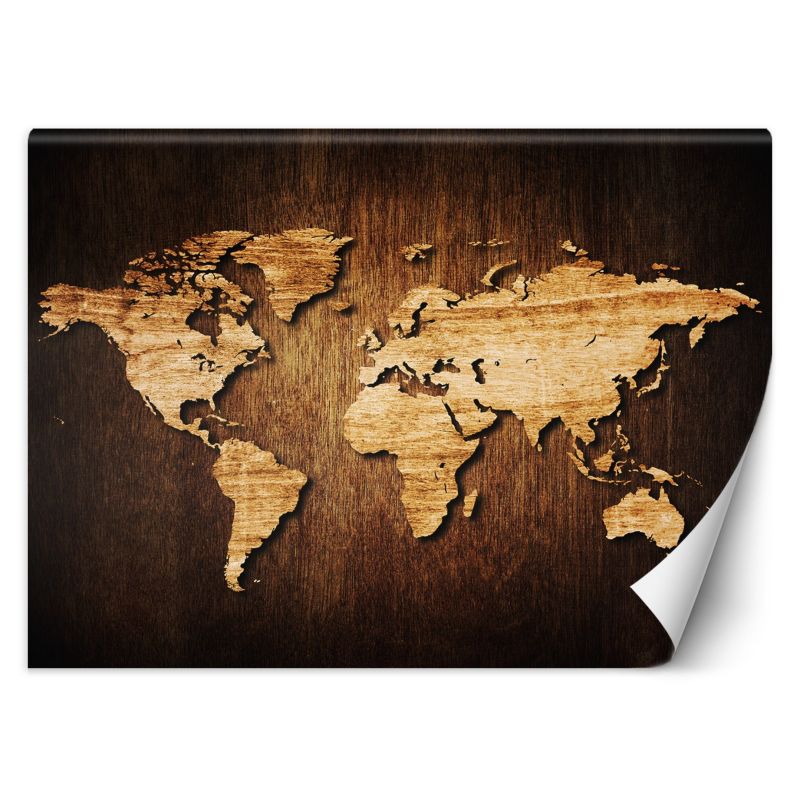 Fototapeta Feeby Mapa świata na drewnie  100x70 1 szt