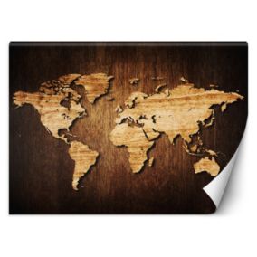 Fototapeta Feeby Mapa świata na drewnie  100x70 1 szt