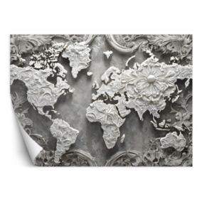 Fototapeta Feeby Mapa świata szary abstrakcyjny  450x315 1 szt