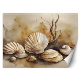 Fototapeta Feeby marynistyczny muszle akryl  200x140 1 szt