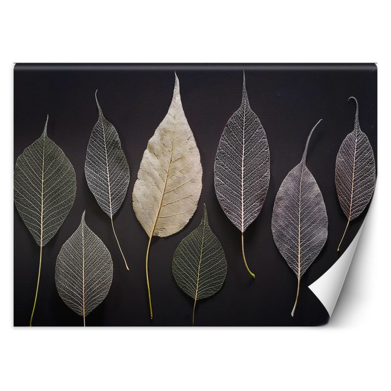 Fototapeta Feeby Minimalizm Liście Glamour Rośliny  350x245 1 szt