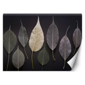 Fototapeta Feeby Minimalizm Liście Glamour Rośliny  350x245 1 szt