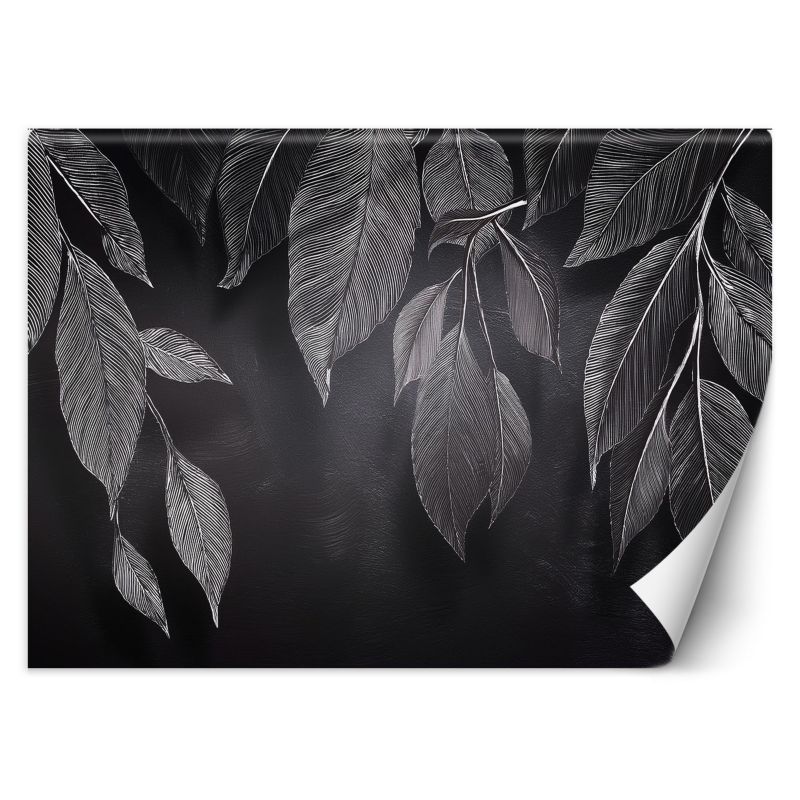 Fototapeta Feeby Minimalizm Liście Rośliny Czarno Biały  400x280 1 szt
