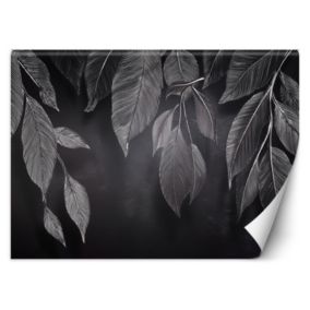 Fototapeta Feeby Minimalizm Liście Rośliny Czarno Biały  400x280 1 szt