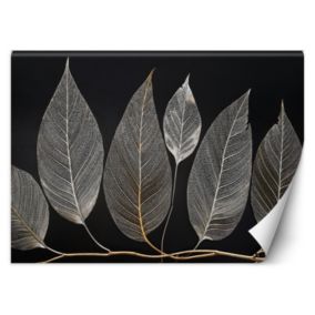 Fototapeta Feeby Minimalizm Liscie Gałązka Glamour Srebrny  250x175 1 szt