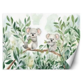 Fototapeta Feeby Misie Koala Liście eukaliptusa  150x105 1 szt