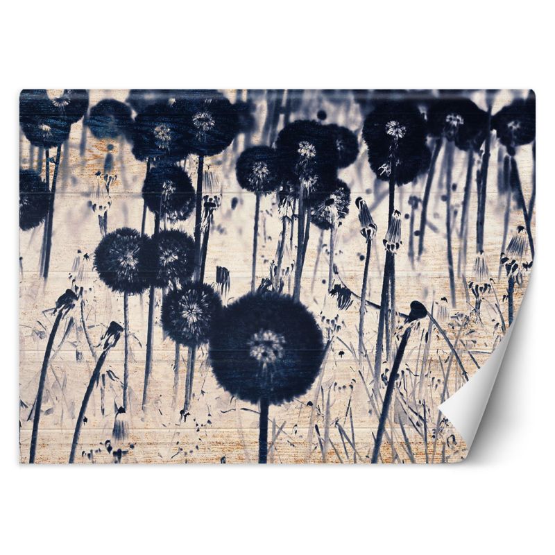 Fototapeta Feeby Monochromatyczne dmuchawce na postarzanych deskach  150x105 1 szt