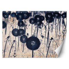 Fototapeta Feeby Monochromatyczne dmuchawce na postarzanych deskach  400x280 1 szt