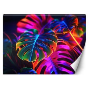 Fototapeta Feeby Monstera fluorescencyjne liście  350x245 1 szt