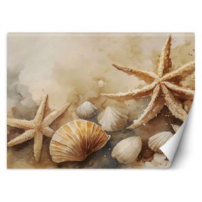 Fototapeta Feeby morski muszle i rozgwiazdy akrylowy  350x245 1 szt