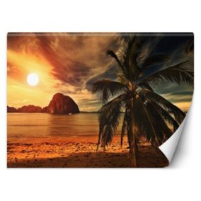 Fototapeta Feeby Morze palmy zachód słońca  400x280 1 szt