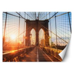 Fototapeta Feeby Most Brookliński  450x315 1 szt