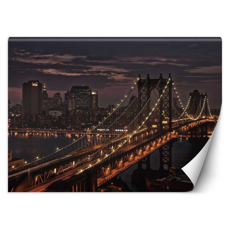 Fototapeta Feeby Most Nowy Jork  150x105 1 szt