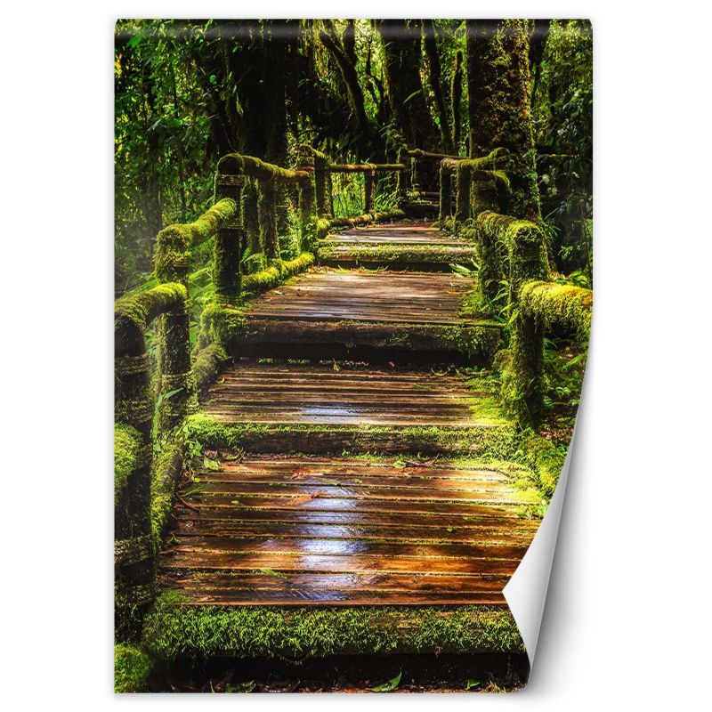 Fototapeta Feeby Mostek w zielonym lesie  200x280 1 szt