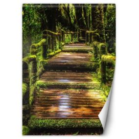 Fototapeta Feeby Mostek w zielonym lesie  200x280 1 szt