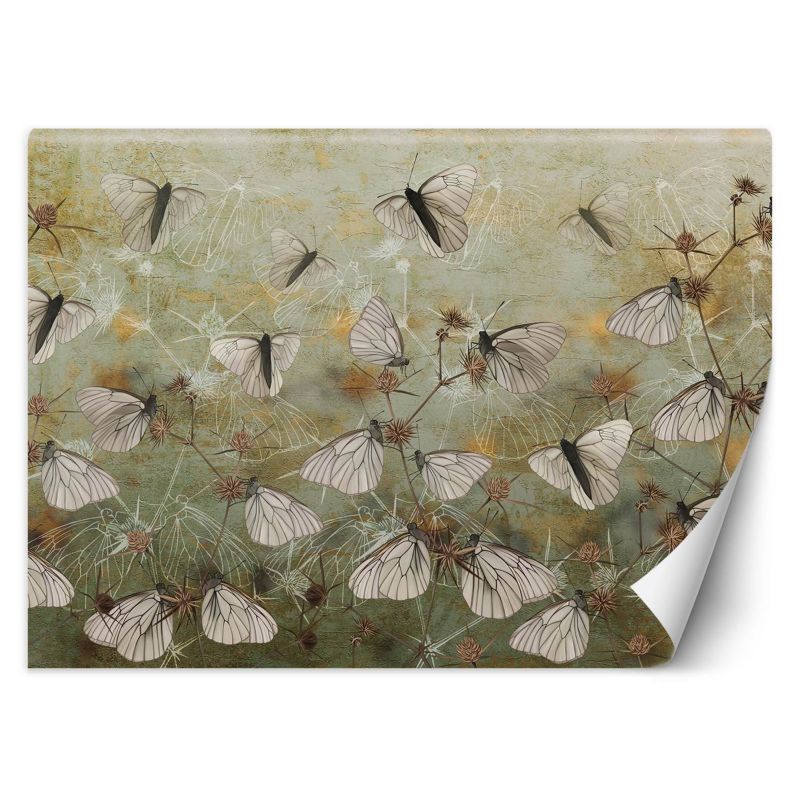 Fototapeta Feeby Motyle na tle starego muru  450x315 1 szt