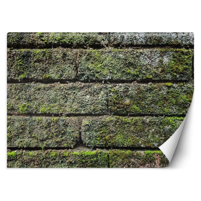 Fototapeta Feeby Mur cegła mech  450x315 1 szt