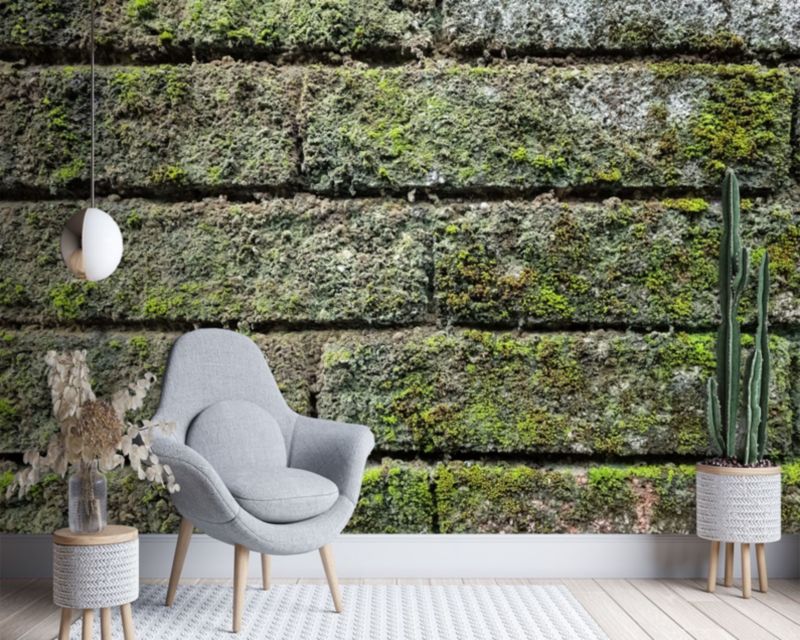 Fototapeta Feeby Mur cegła mech  450x315 1 szt