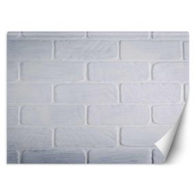 Fototapeta Feeby Mur z białych cegieł  350x245 1 szt