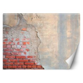 Fototapeta Feeby Mur z cegły  100x70 1 szt
