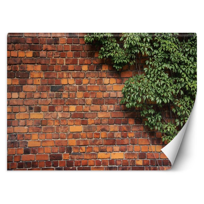 Fototapeta Feeby Mur z cegły rośliny  350x245 1 szt