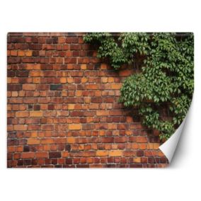 Fototapeta Feeby Mur z cegły rośliny  350x245 1 szt