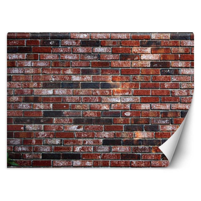 Fototapeta Feeby Mur z czerwonej cegły  350x245 1 szt