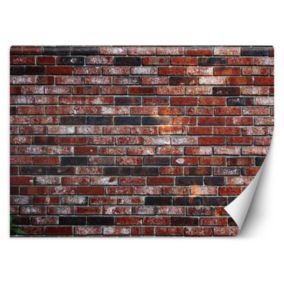 Fototapeta Feeby Mur z czerwonej cegły  350x245 1 szt