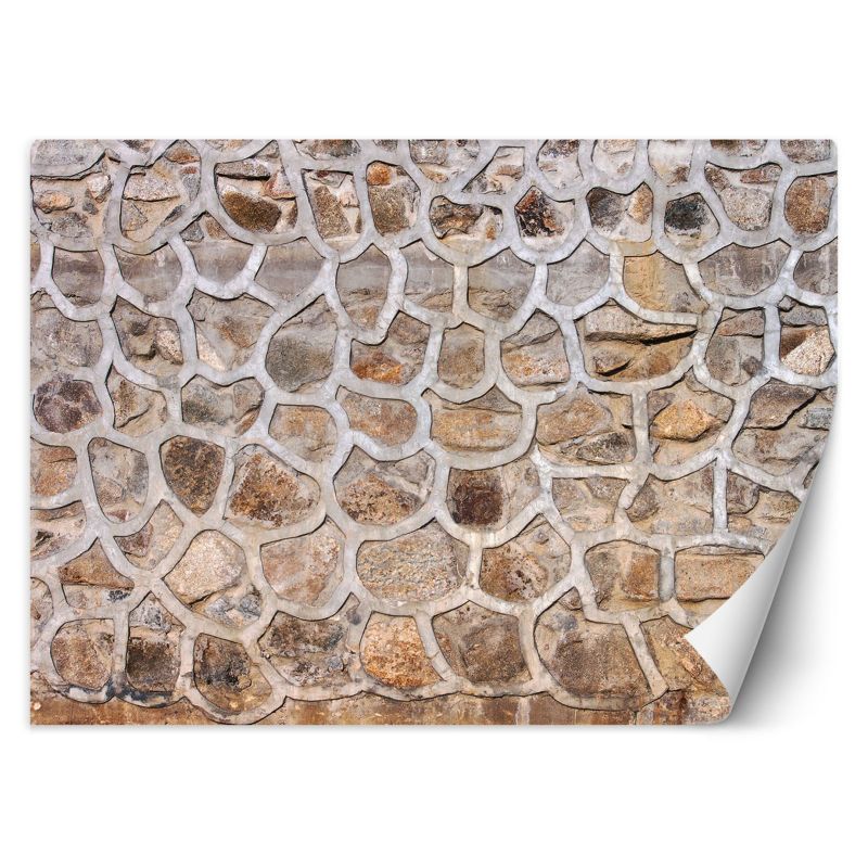 Fototapeta Feeby Mur z kamienia  350x245 1 szt