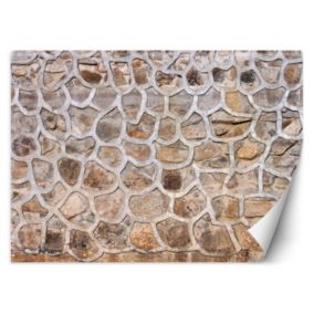 Fototapeta Feeby Mur z kamienia  350x245 1 szt