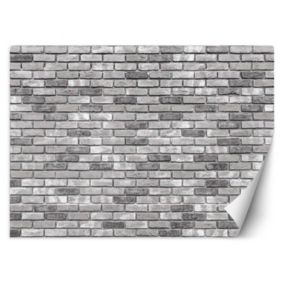 Fototapeta Feeby Mur z szarej cegły  200x140 1 szt