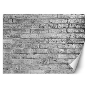 Fototapeta Feeby Mur z szarych cegieł  400x280 1 szt
