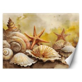 Fototapeta Feeby muszle i rozgwiazdy malowany  150x105 1 szt