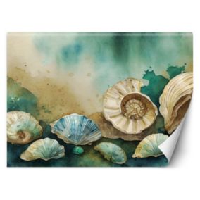 Fototapeta Feeby muszle morskie turkusowy akryl  150x105 1 szt