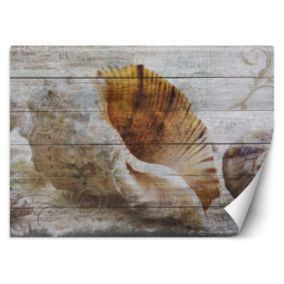 Fototapeta Feeby Muszle w stylu vintage  100x70 1 szt