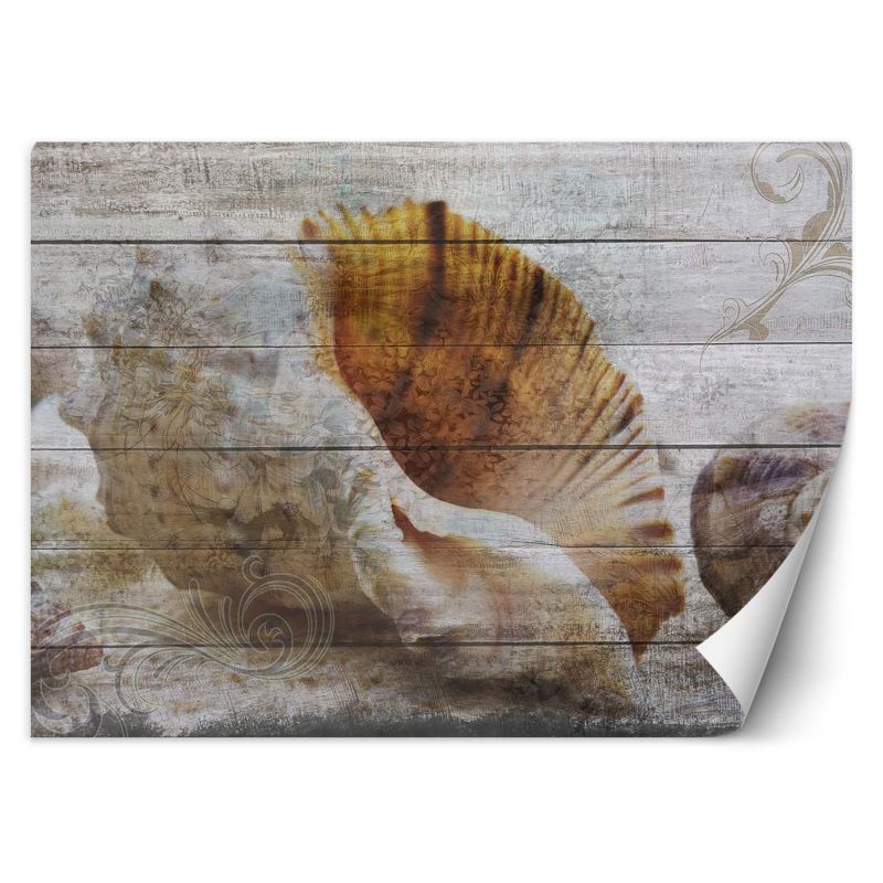 Fototapeta Feeby Muszle w stylu vintage  254x184 1 szt