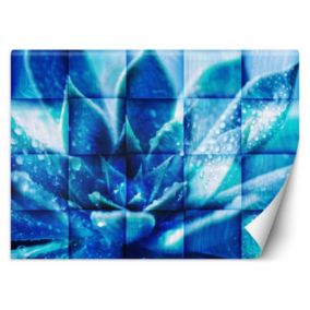 Fototapeta Feeby Niebieski kwiat  150x105 1 szt