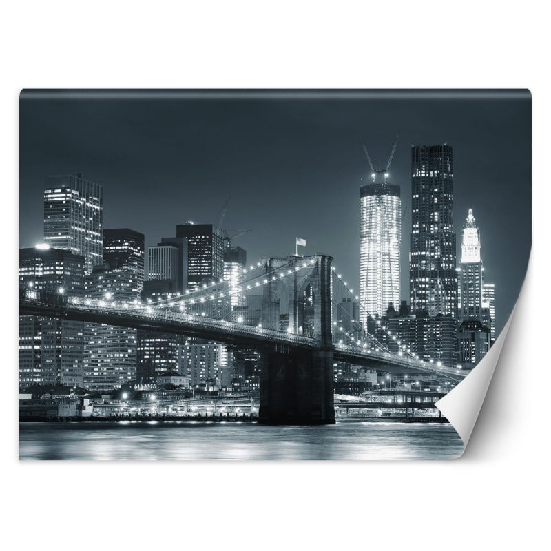 Fototapeta Feeby Nowy Jork Most Brookliński czarno-biały  450x315 1 szt