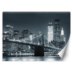 Fototapeta Feeby Nowy Jork Most Brookliński czarno-biały  450x315 1 szt