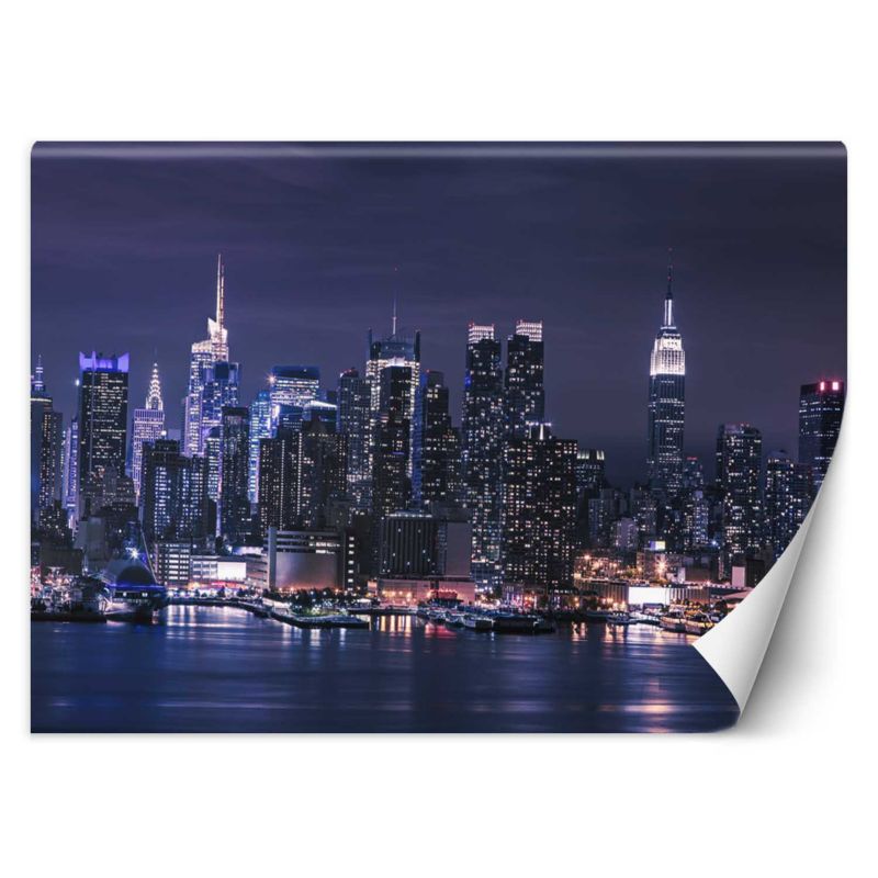 Fototapeta Feeby Nowy Jork nocą  350x245 1 szt