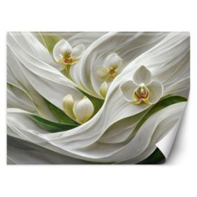 Fototapeta Feeby Obraz Storczyki abstrakcyjne 3D  450x315 1 szt