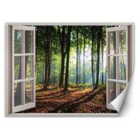 Fototapeta Feeby Okno las drzewa natura  280x200 1 szt