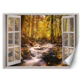 Fototapeta Feeby Okno widok las górski potok  140x100 1 szt