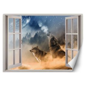 Fototapeta Feeby Okno wilki las we mgle  140x100 1 szt