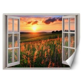 Fototapeta Feeby Okno z widokiem na łąkę zachód słońca  280x200 1 szt
