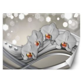 Fototapeta Feeby Orchidea abstrakcja  100x70 1 szt