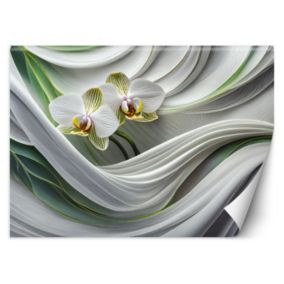 Fototapeta Feeby Orchidea abstrakcja 3D  450x315 1 szt