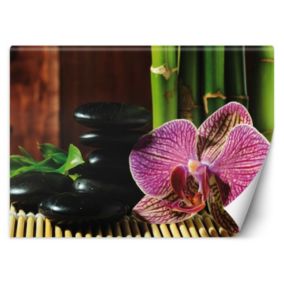 Fototapeta Feeby Orchidea kamienie zen bambus  350x245 1 szt