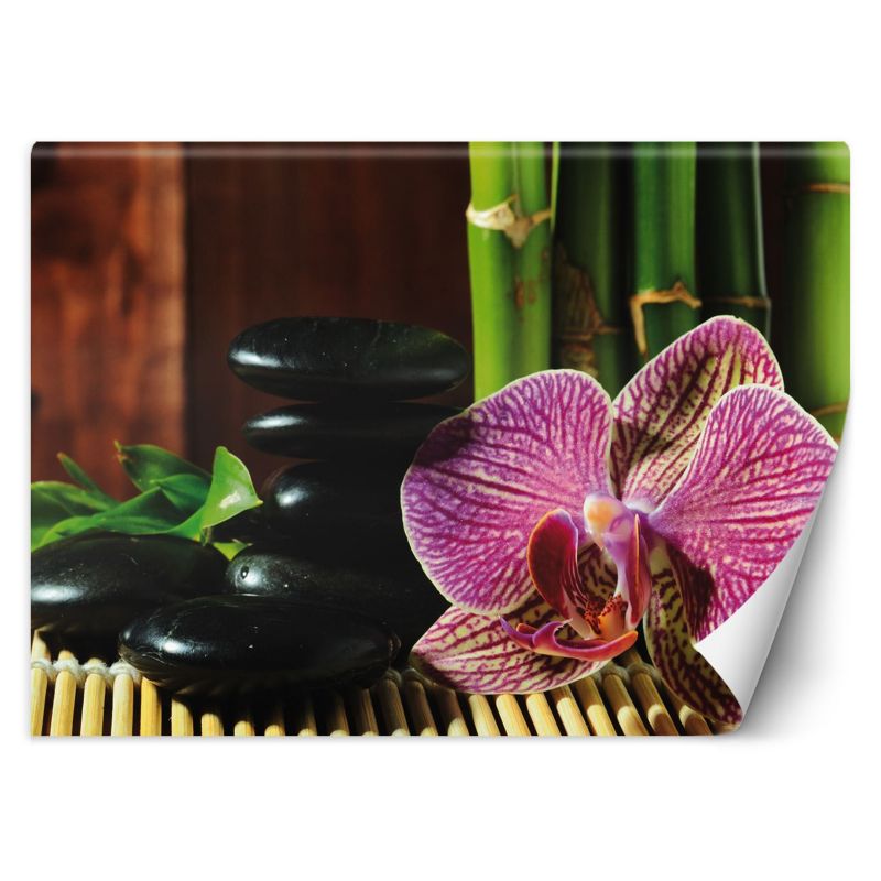 Fototapeta Feeby Orchidea kamienie zen bambus  450x315 1 szt